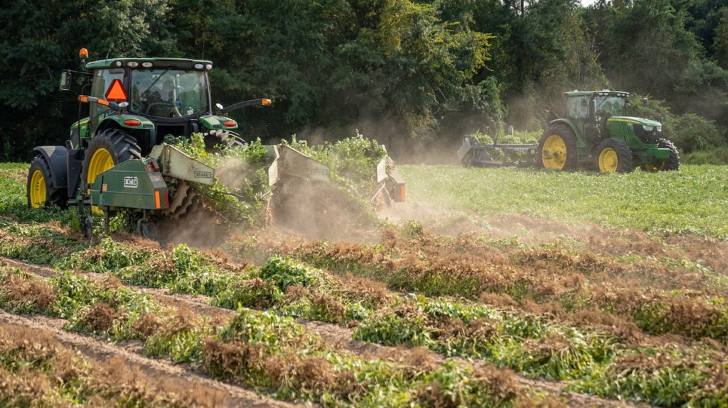 Perch Gli Agricoltori Protestano I Motivi Della Rivolta Dei Trattori