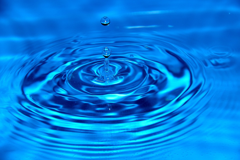 Post precedente: Spreco Zero: focus su Acqua, consumi e risparmio idrico