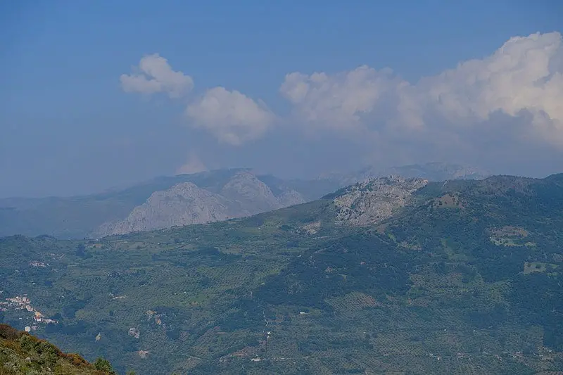 Immagine in evidenza del post: Mafia dei Parchi in Sicilia: decine di arresti tra Palermo ed Enna