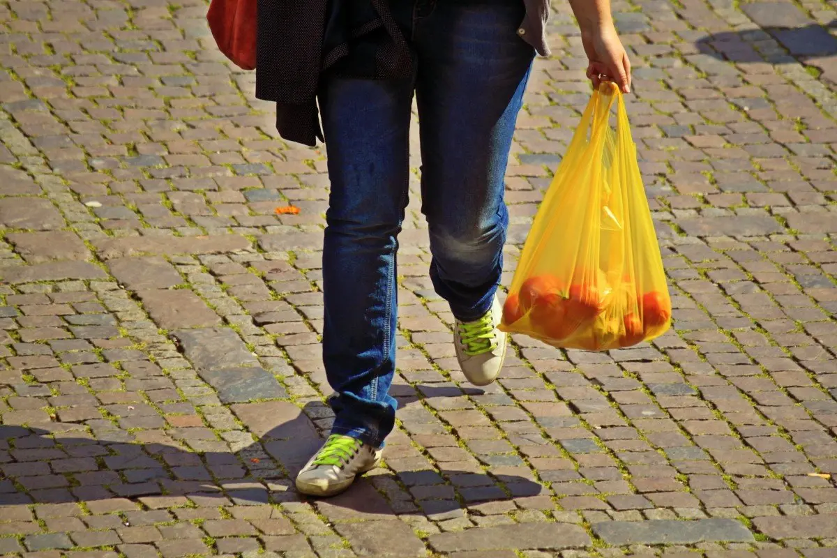 Immagine in evidenza del post: Plastic Free: il Comune di Lamporecchio (PT) bandisce la plastica monouso