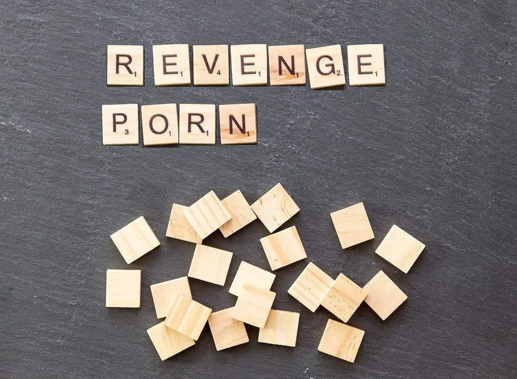 Immagine in evidenza del post: Denuncia Revenge Porn: licenziata dall'Azienda per danno all'immagine