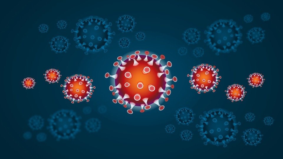 Coronavirus, falso test venduto online: segnalazione all’Antitrust