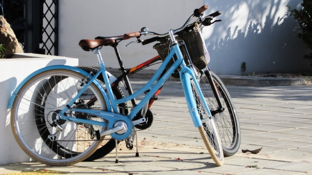 ministero dell'ambiente app per bonus bicicletta
