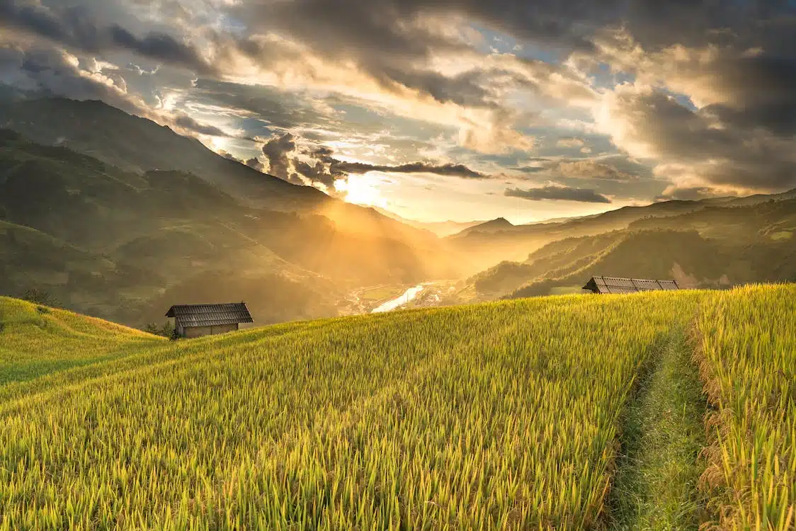 Immagine in evidenza del post: Giornata del Suolo 2022: i dati di Coldiretti e ISPRA sulla superficie agricola