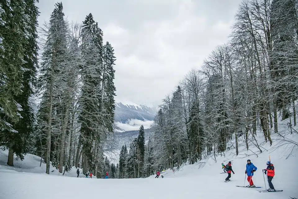 Immagine in evidenza del post: Vacanze di Natale e Capodanno: ecco quanti italiani saranno in viaggio