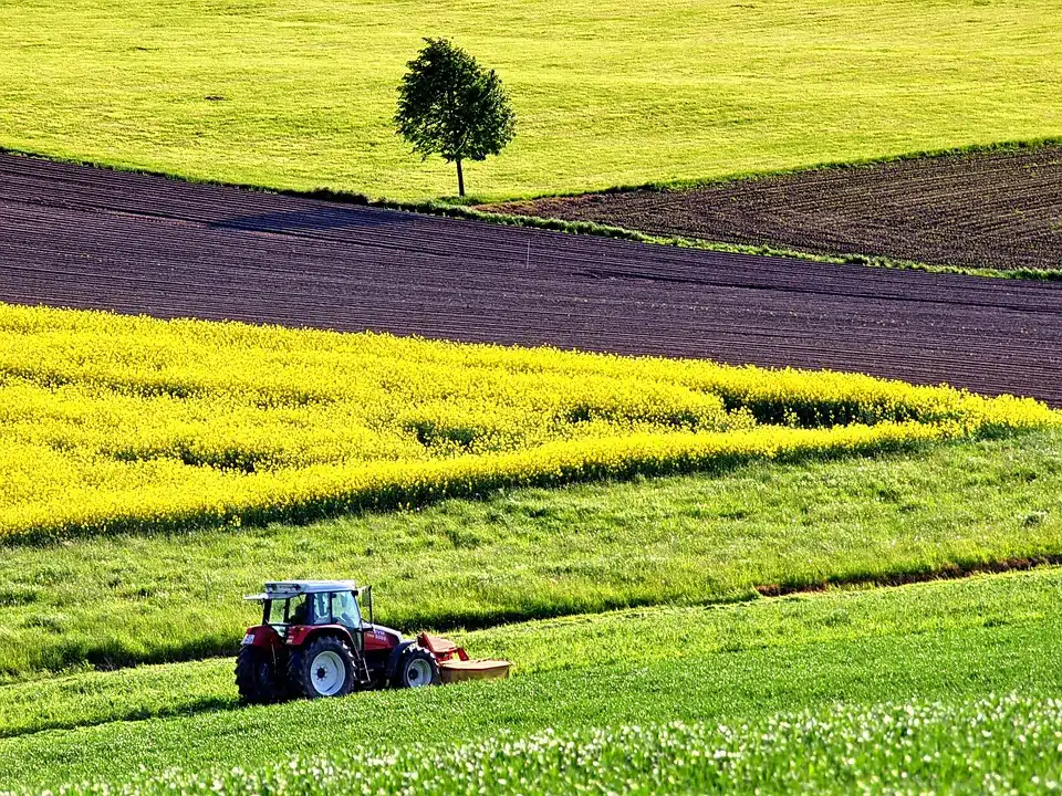 Immagine in evidenza del post: Compilazione elenchi nominativi braccianti agricoli: indicazioni dall'INPS