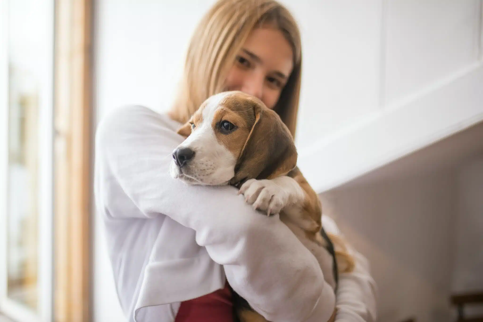 Immagine in evidenza del post: Cane che scappa: il padrone rischia una multa?