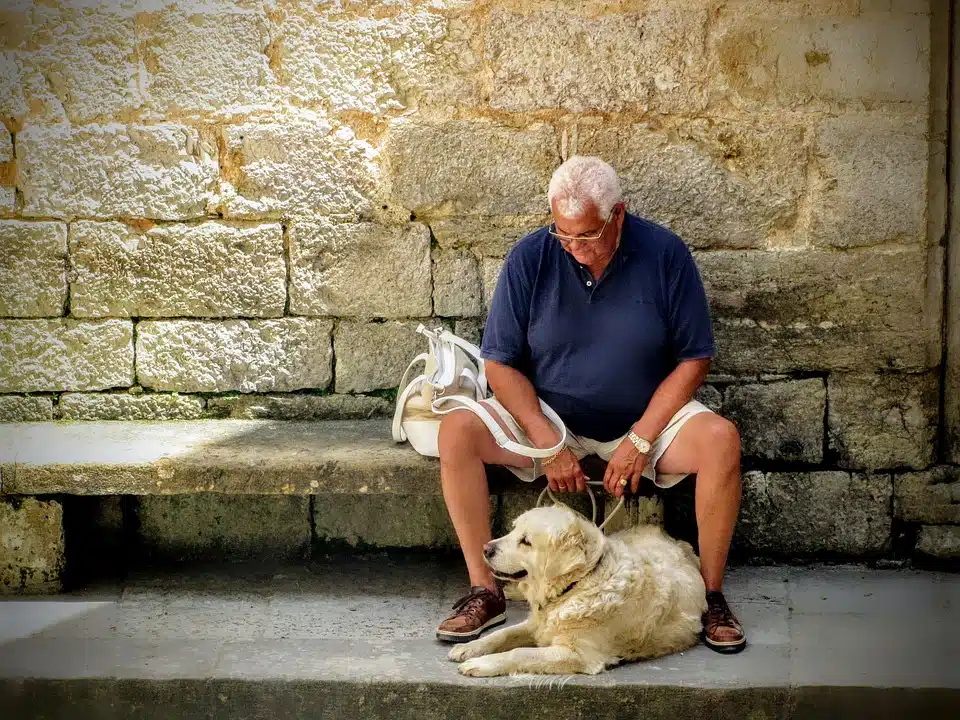 Immagine in evidenza del post: Anziani e animali domestici: un nuovo emendamento ne tutela i diritti