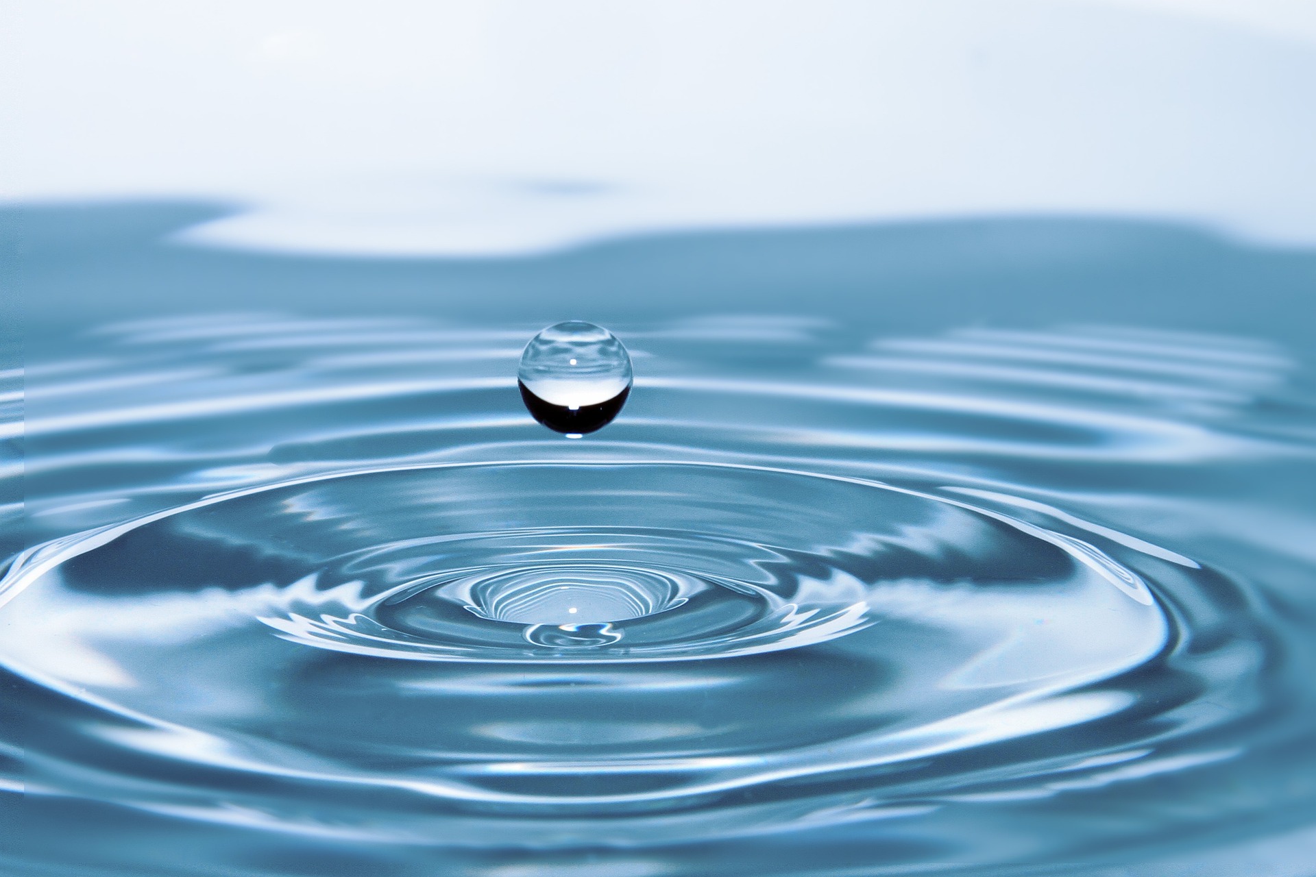 Post successivo: Oggi è la Giornata mondiale dell’acqua 2023