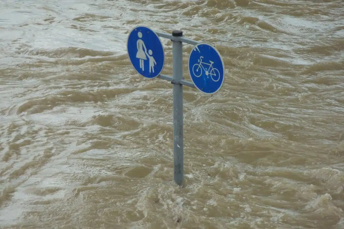 Immagine in evidenza del post: Alluvione Emilia Romagna: i dati del dissesto idrogeologico in Italia