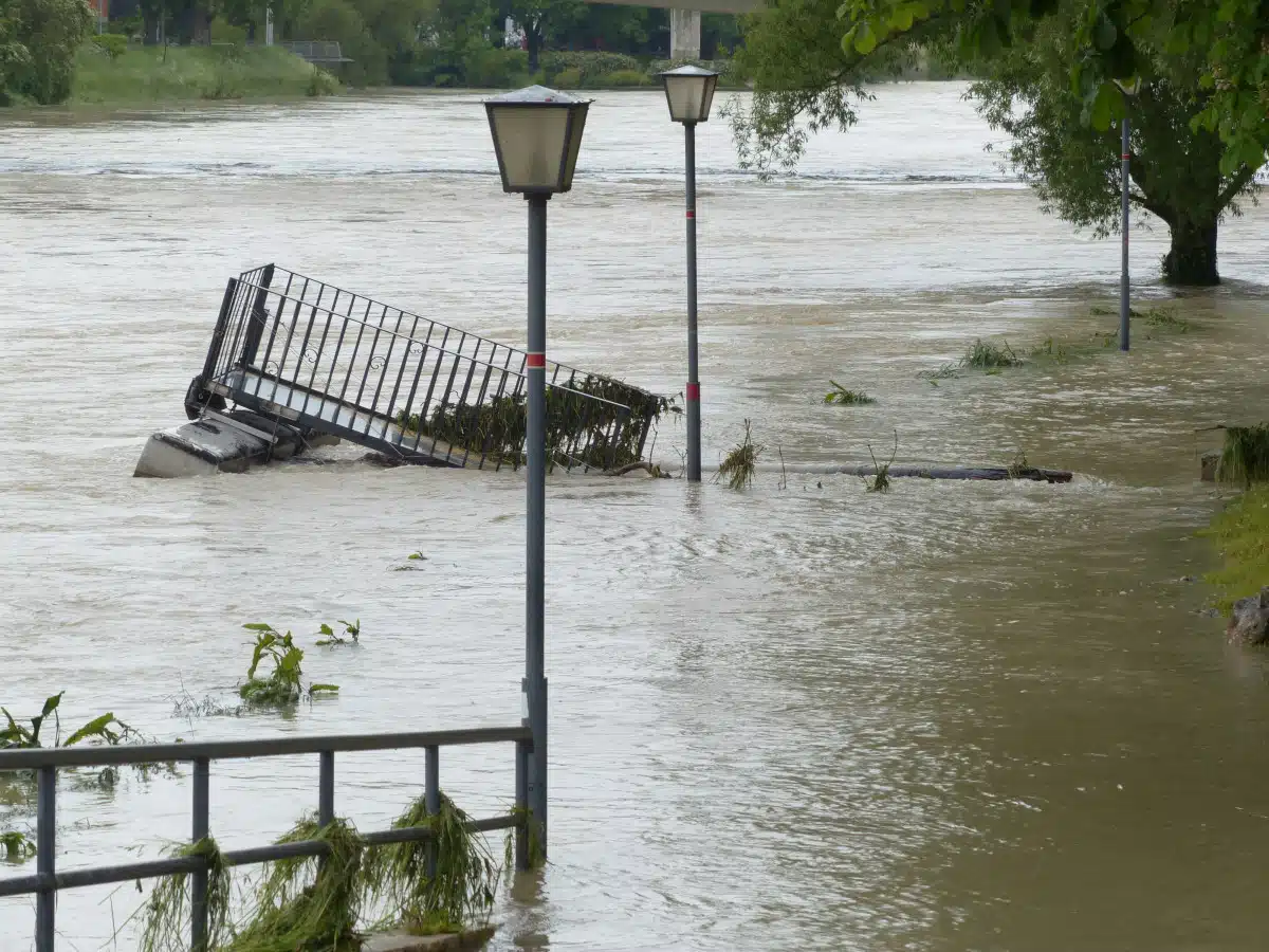 Immagine in evidenza del post: Alluvione Emilia-Romagna: domande CIGO e CISOA