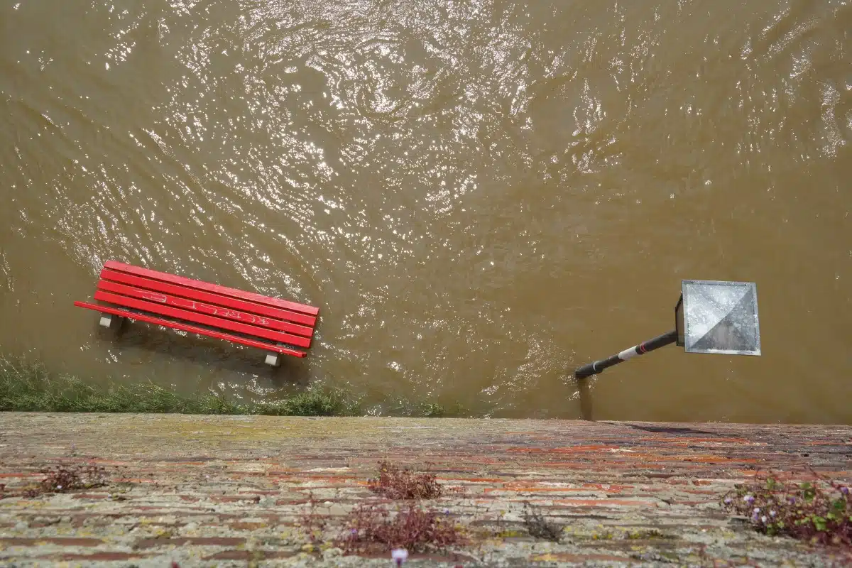 Immagine in evidenza del post: Alluvione Emilia Romagna: arriva la sospensione delle bollette