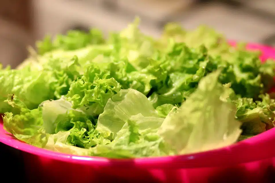 Immagine in evidenza del post: Regolamento UE sugli imballaggi: addio alle buste di insalata?