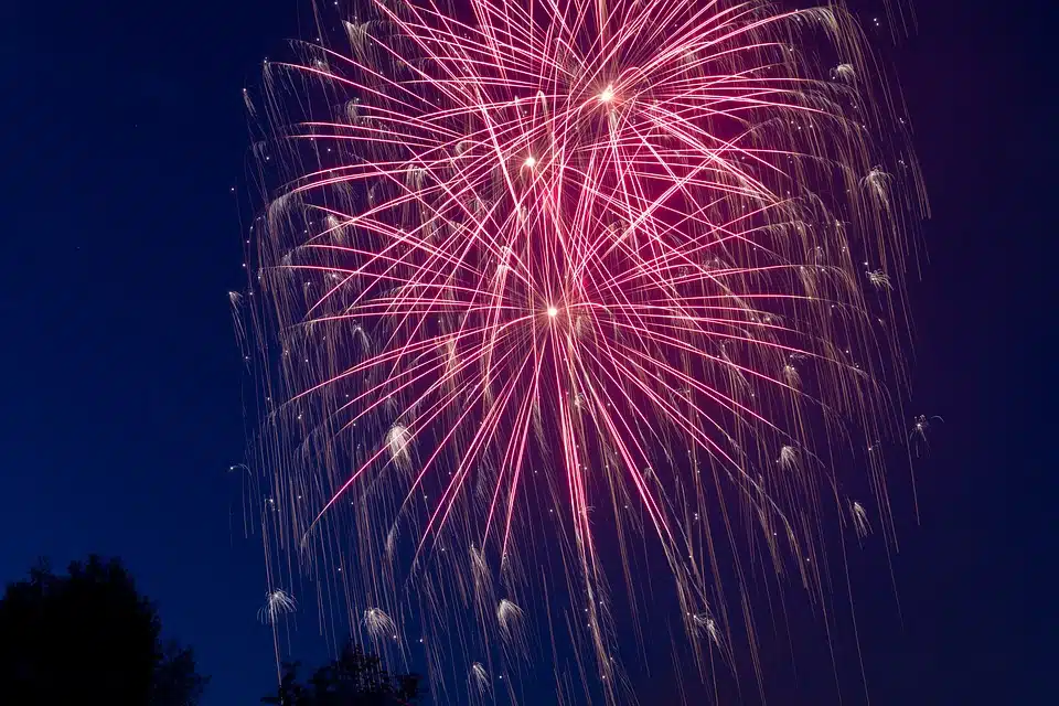 Immagine in evidenza del post: Ambiente, a Monza niente fuochi d'artificio per la festa del patrono