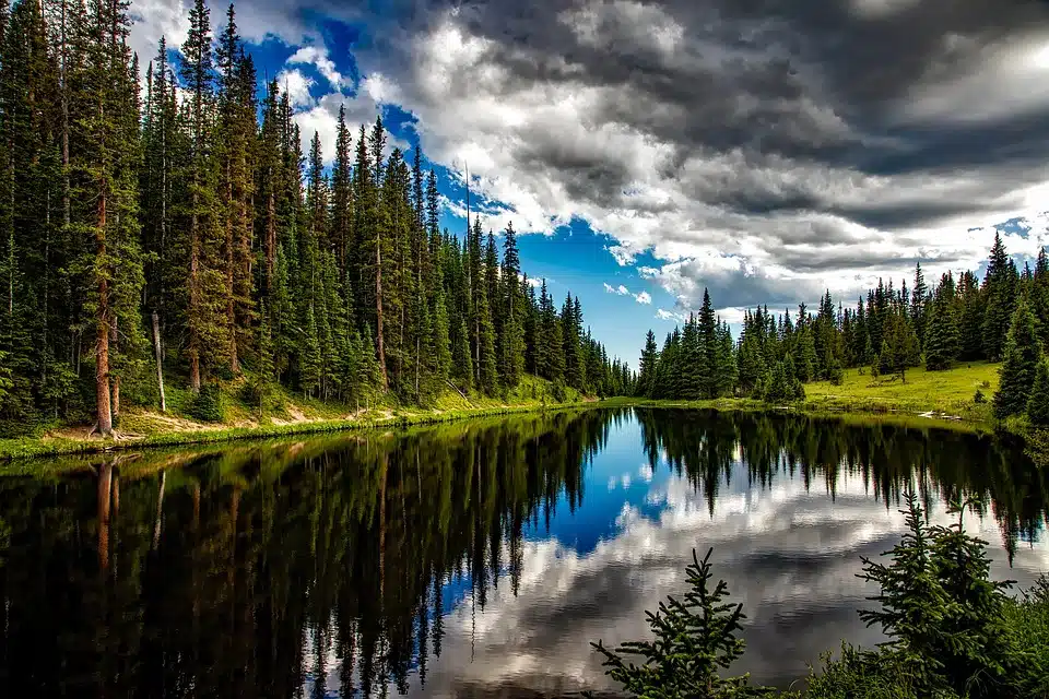 Immagine in evidenza del post: Approvata la legge europea sul ripristino della natura