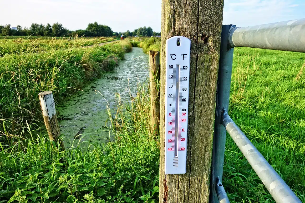 Immagine in evidenza del post: Attivo il Codice calore in Pronto soccorso