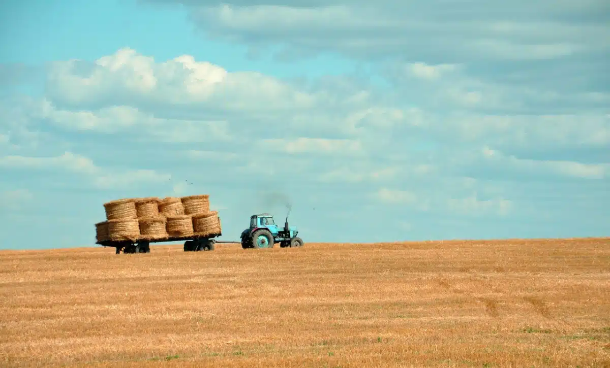 Immagine in evidenza del post: PNRR, nuovo decreto per innovazione nel settore agricolo e alimentare