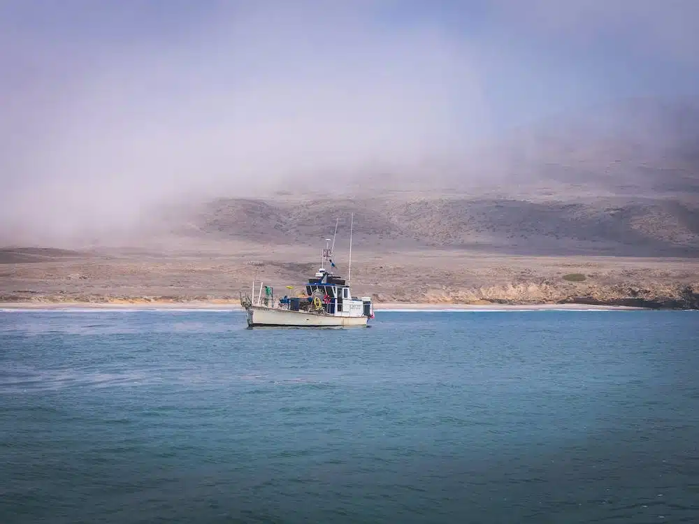 Immagine in evidenza del post: Premi per i pescatori che raccolgono i rifiuti nel mare?