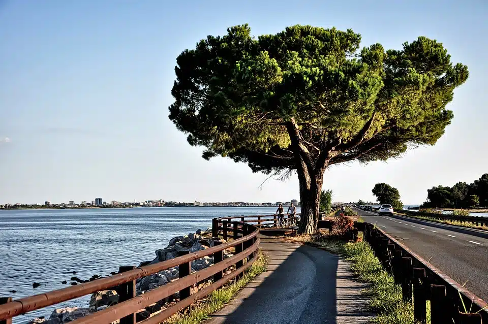 Immagine in evidenza del post: Non tutti i ragazzi possono accedere alle piste ciclabili