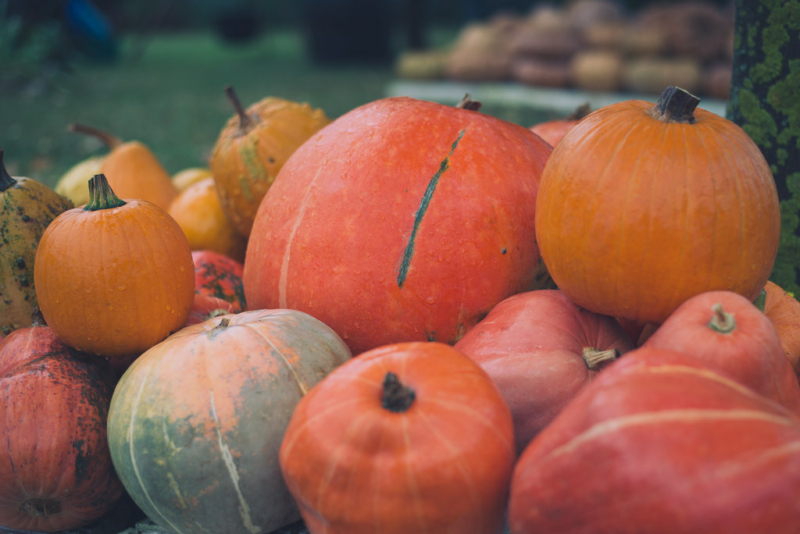 caro autunno rincari frutta e verdura