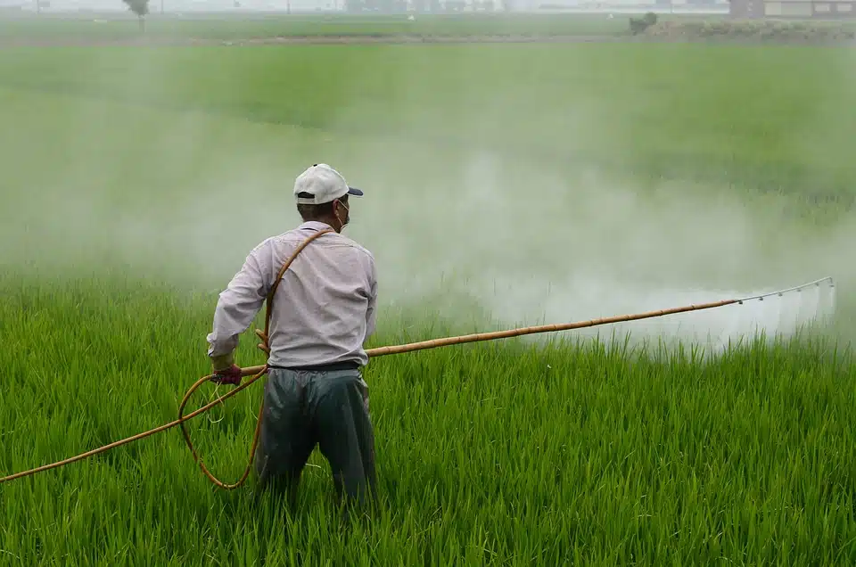 Immagine in evidenza del post: L'UE ha deciso: proroga di 10 Anni per l'utilizzo del Glifosato