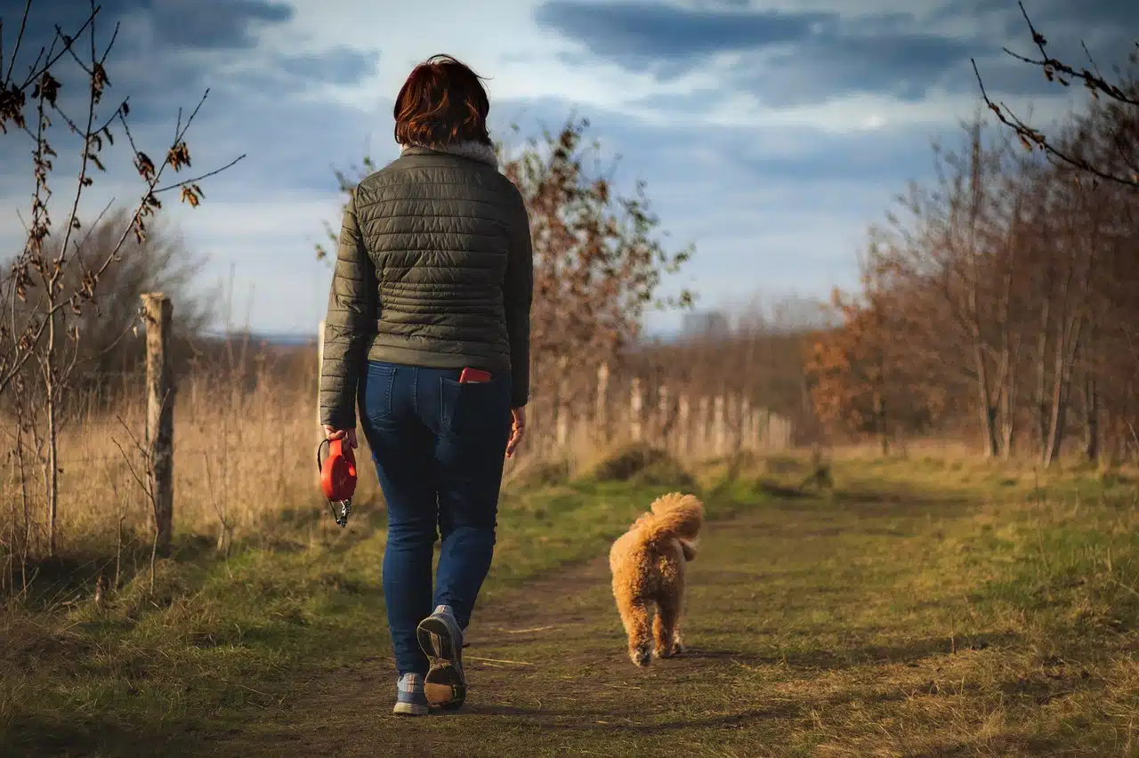 Immagine in evidenza del post: Analisi del Dna dei cani per punire i padroni che non raccolgono le deiezioni