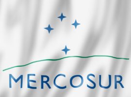 Immagine di anteprima per Il presidente argentino Javier Milei non ha presenziato al vertice del Mercosur