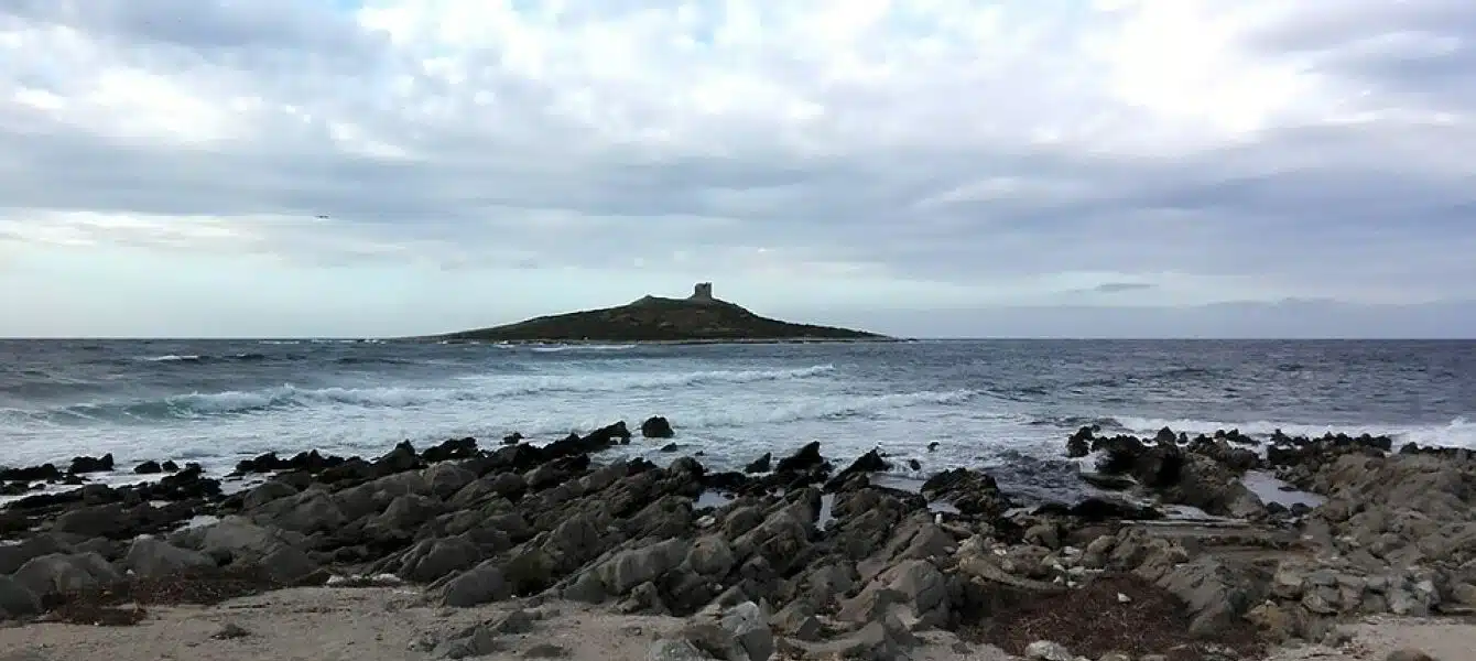 Immagine in evidenza del post: Party illegale a Isola delle Femmine, caos nella riserva naturale [VIDEO]