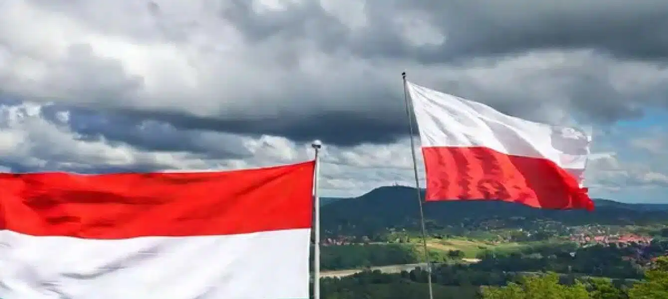 Immagine in evidenza del post: Ungheria e Polonia ai ferri corti sui rapporti con la Russia?