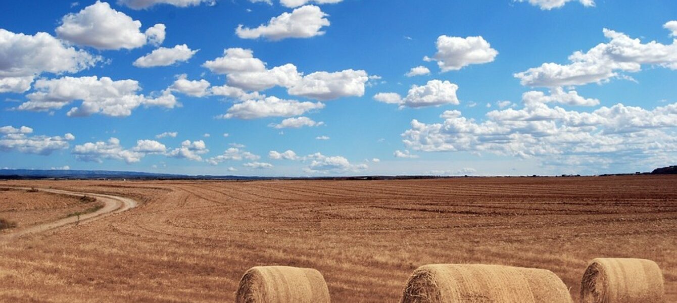 Immagine in evidenza del post: Agricoltura, deroghe agli obbligi PAC in caso di eventi meteorologici  estremi