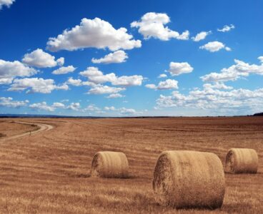 Agricoltura, deroghe agli obbligi PAC in caso di eventi meteorologici  estremi