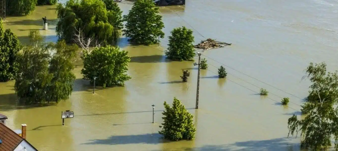 Immagine in evidenza del post: La beffa dei risarcimenti dopo l’alluvione in Emilia-Romagna