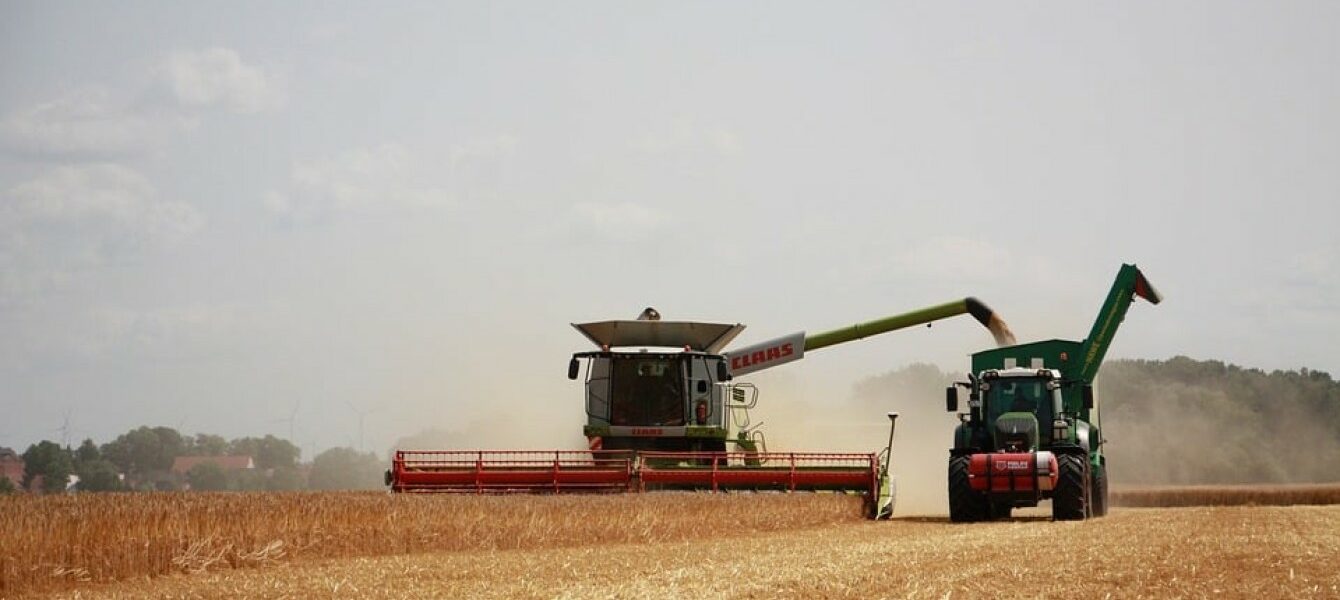 Immagine in evidenza del post: Bonus imprese agricole 2024, c’è tempo fino al 30 settembre per la domanda