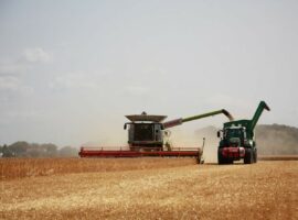 Immagine di anteprima per Bonus imprese agricole 2024, c'è tempo fino al 30 settembre per la domanda