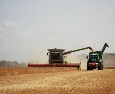 Bonus imprese agricole 2024, c'è tempo fino al 30 settembre per la domanda