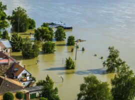 Immagine di anteprima per La polemica sull’assicurazione obbligatoria 