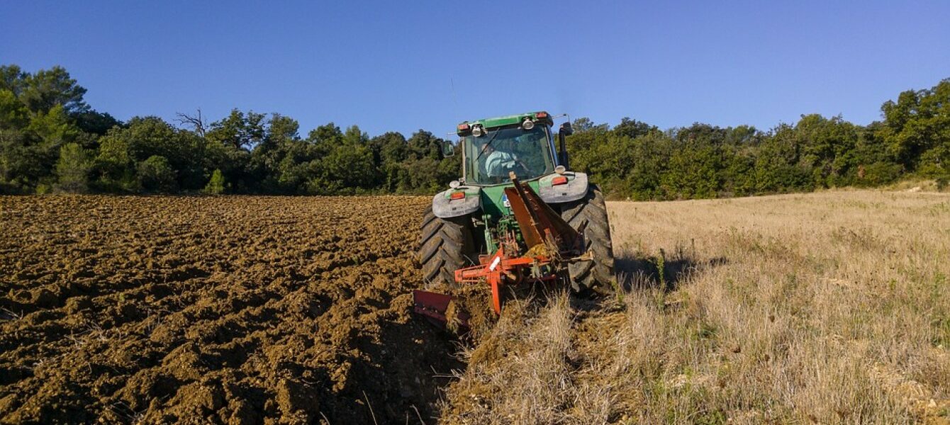 Immagine in evidenza del post: Agricoltura: indicazioni su anticipi dei pagamenti nell’ambito della PAC 2024