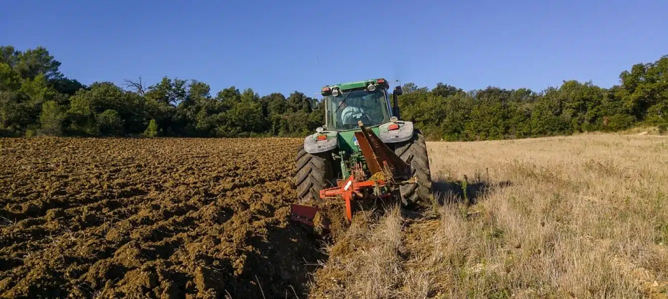 Immagine in evidenza del post: Agricoltura: indicazioni su anticipi dei pagamenti nell'ambito della PAC 2024