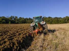 Immagine di anteprima per Agricoltura: indicazioni su anticipi dei pagamenti nell'ambito della PAC 2024