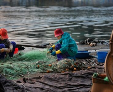 Aperte le domande del credito d'imposta al Sud per agricoltura e pesca