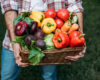 Post successivo: Disponibile il bando per il servizio civile agricolo