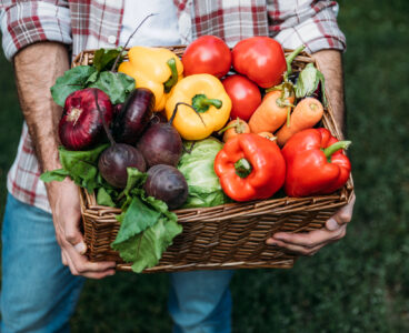 Disponibile il bando per il servizio civile agricolo