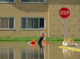 Immagine di anteprima per Fondi emergenze alluvionali: il decreto con i criteri per il 2025 e il 2026