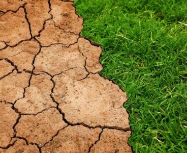 Nuovi aiuti per le imprese agricole danneggiate dalla siccità