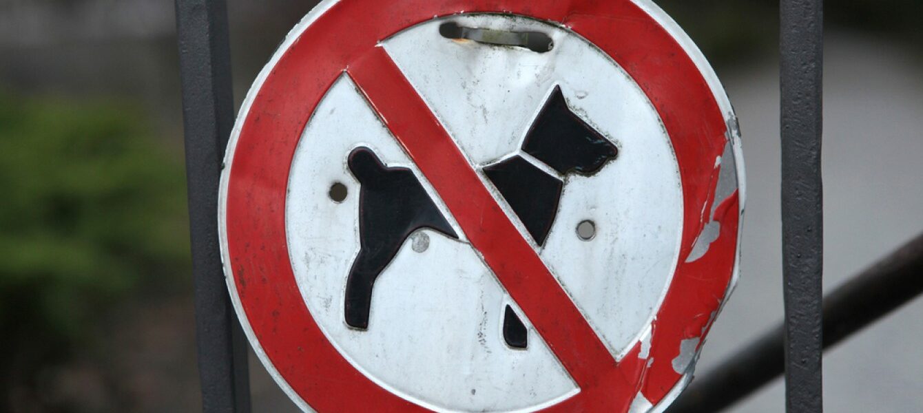 Immagine in evidenza del post: Parchi pubblici: cartelli di divieto di accesso ai cani sono illegali?