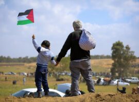 Immagine di anteprima per Quelle manifestazioni pro Palestina 