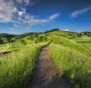 9 miliardi di danni all’agricoltura italiana nel 2024: la sintesi di Coldiretti