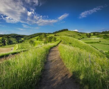 9 miliardi di danni all’agricoltura italiana nel 2024: la sintesi di Coldiretti