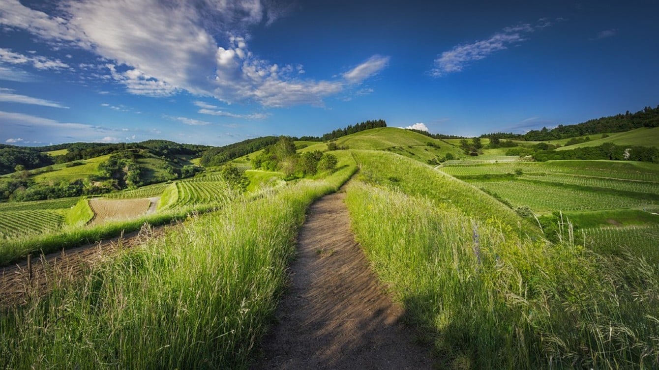 9 miliardi di danni all’agricoltura italiana nel 2024: la sintesi di Coldiretti