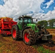 Come funzioneranno le polizze per i rischi degli agricoltori nel 2025?